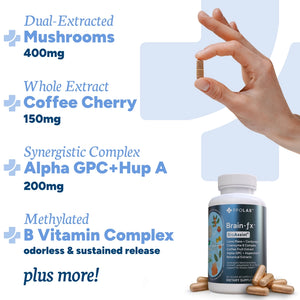 New! Brain-Fx 60 Caps. Vegan & Clean Wellness Supplements