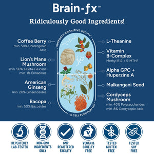 New! Brain-Fx 60 Caps. Vegan & Clean Wellness Supplements