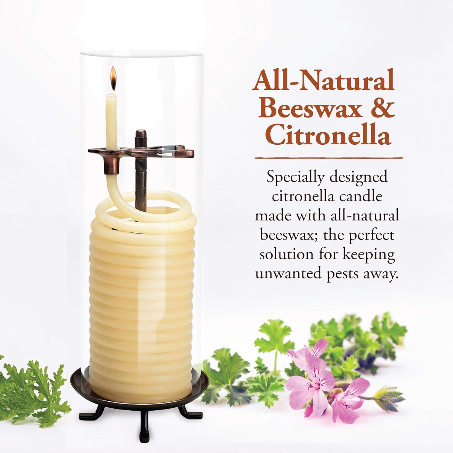 80 Hour Citronella Candle with Glass