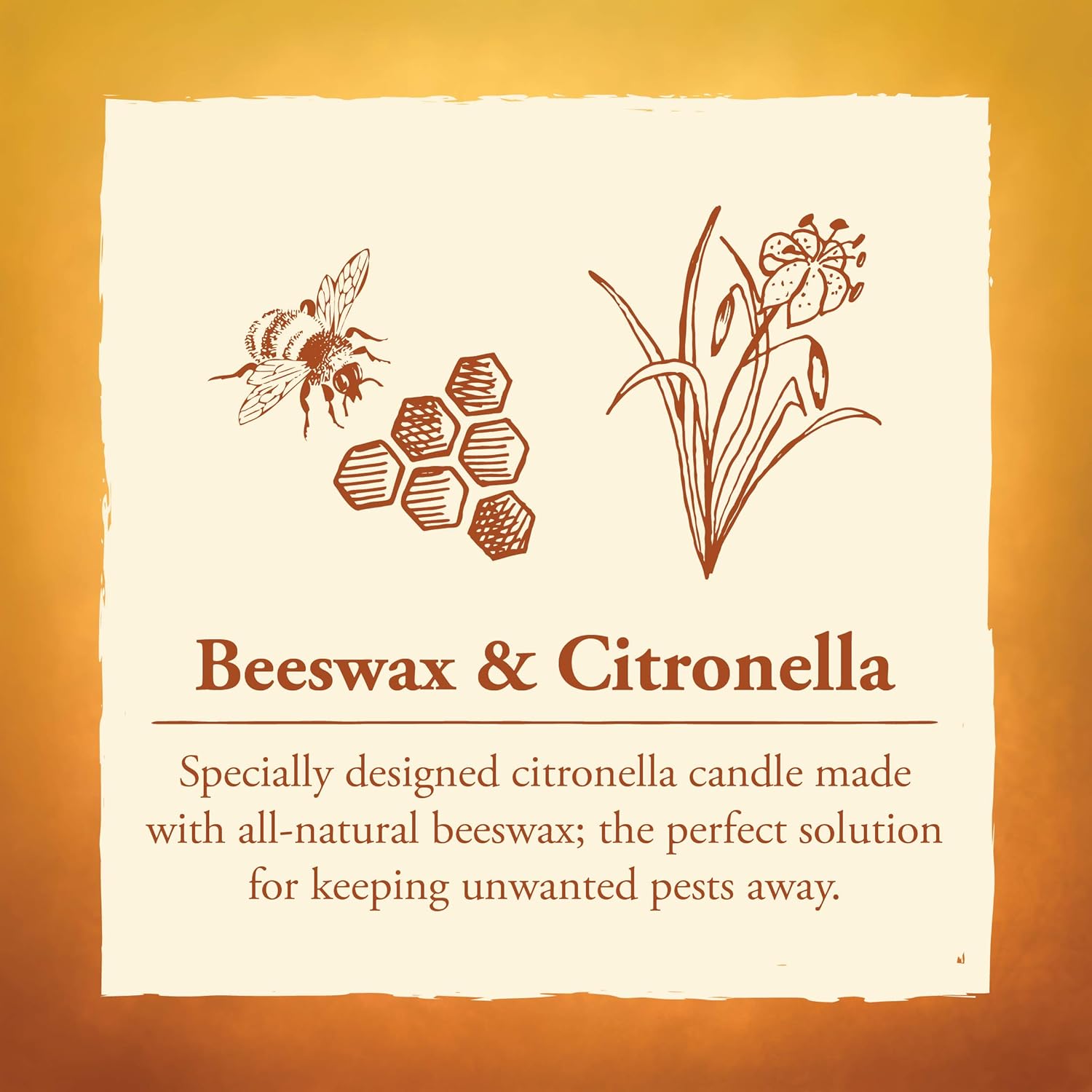 80 Hour Citronella Candle with Glass