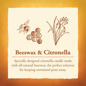80 Hour Citronella Candle with Glass