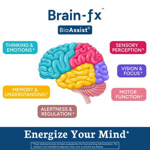 New! Brain-Fx 60 Caps. Vegan & Clean Wellness Supplements