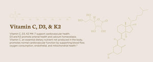Immune-fx™ Advanced Daily Chelated Zinc Ionophore Immune Support Supplement